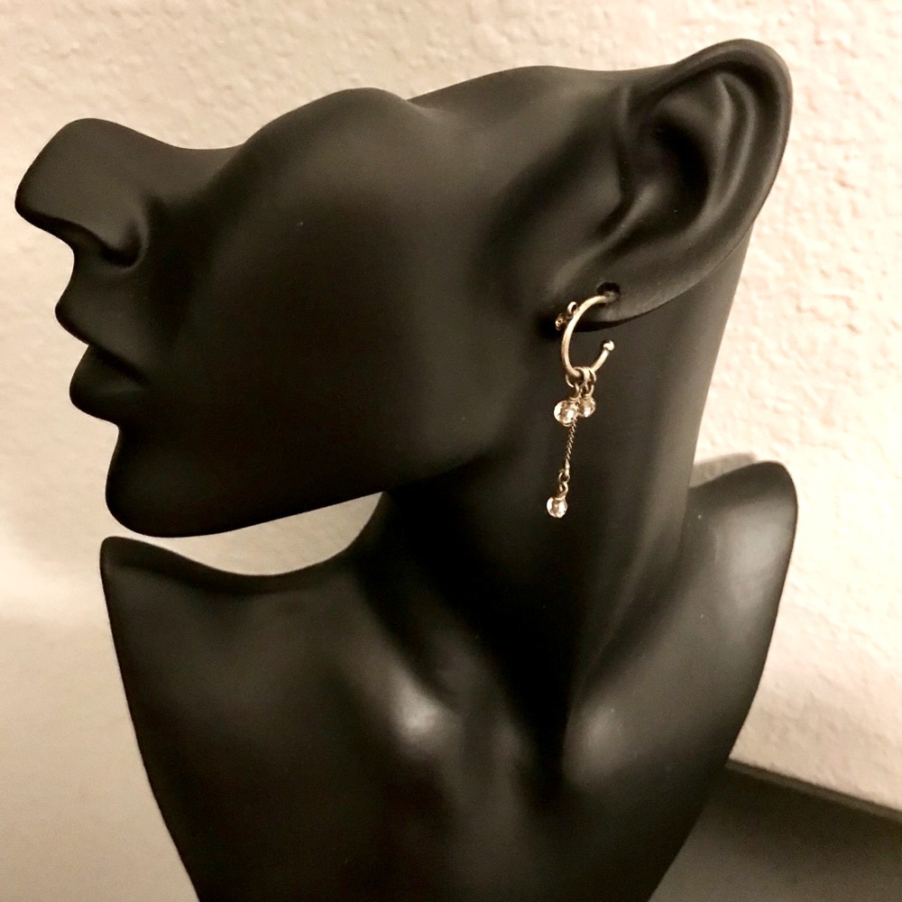 Dangle Earrings